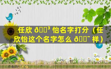 任欣 🌳 怡名字打分（任欣怡这个名字怎么 🐯 样）